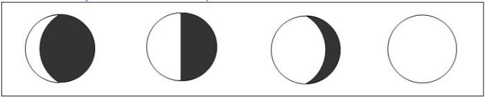 Phases of the moon gizmo answer key