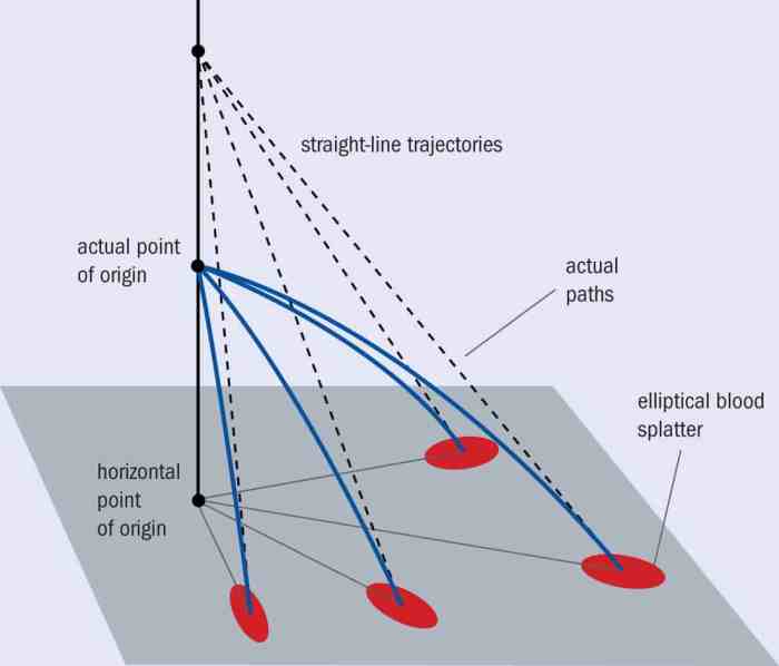 Angle of impact blood spatter worksheet