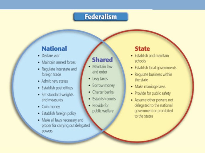 Icivics federalists and anti federalists