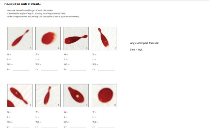 Angle of impact blood spatter worksheet