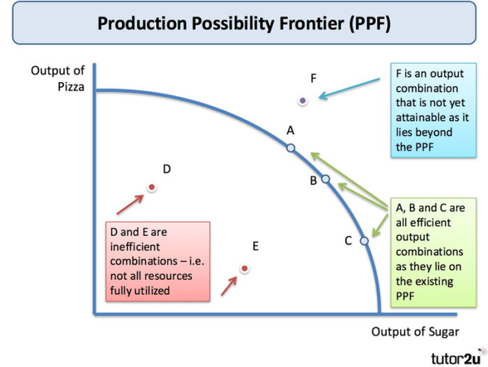 Econ movies #5 cars answer key