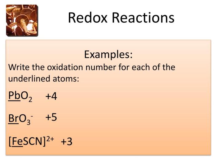 Examples of redox and metathesis reactions