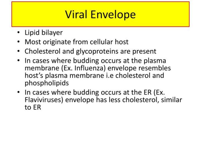 The viral envelope closely resembles the