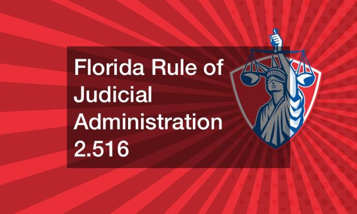 Florida law rules process practice solo basic resources general administrative act responding accepting proposed agencies involves publishing those comment public