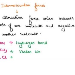 Rank the following compounds in order of decreasing boiling point.