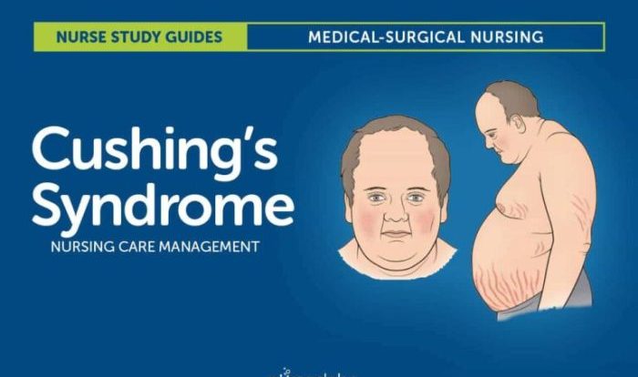 Nursing interventions for cushing's syndrome