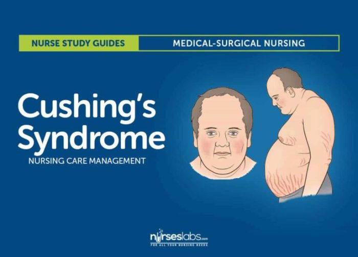 Nursing interventions for cushing's syndrome