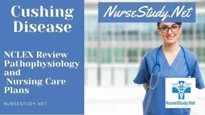 Nursing interventions for cushing's syndrome