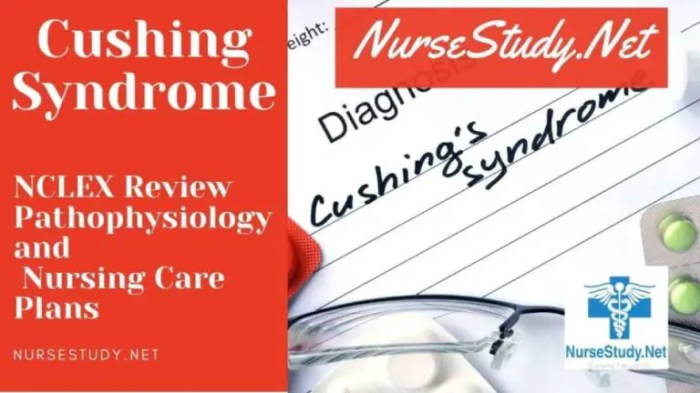 Nursing interventions for cushing's syndrome